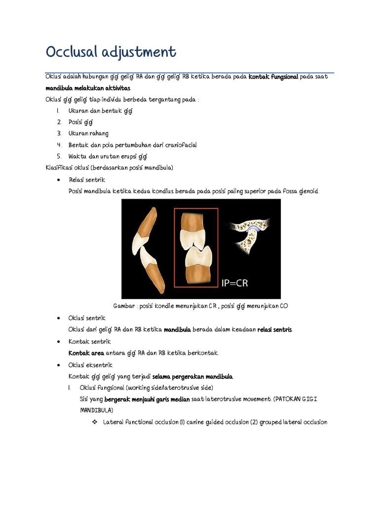Occlusal Adjustment by ME PDF