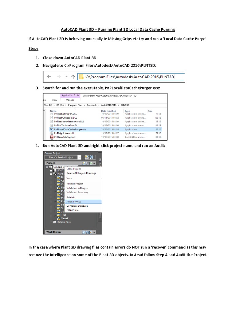 Purging AutoCAD Plant 3D Cache Guide | PDF