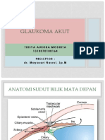 Referat Glaukoma Akut