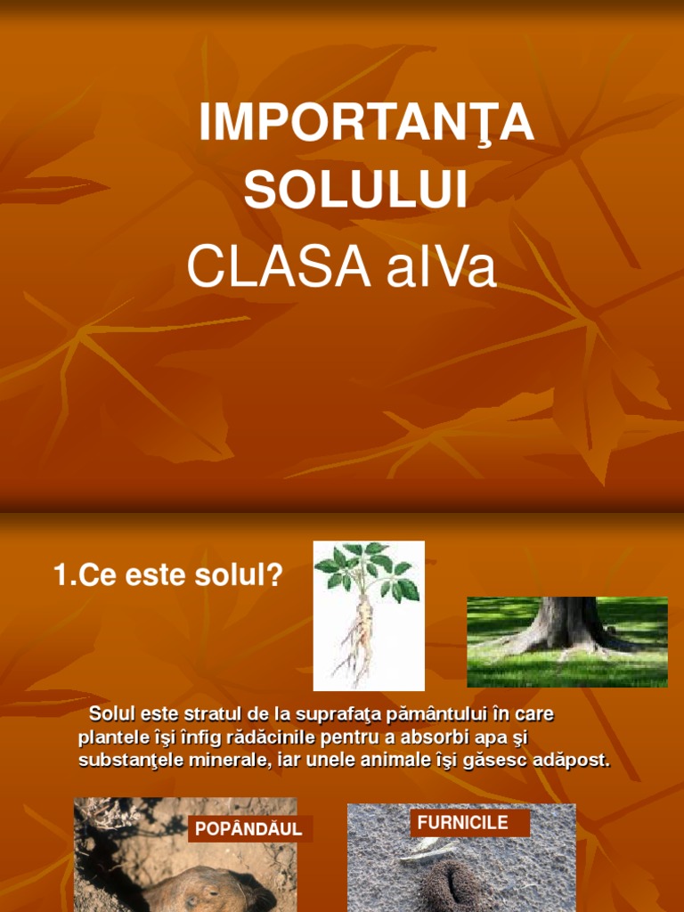 Importanta Solului | PDF