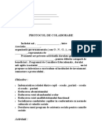 0document_ptrtocol_de_colaboraremodel.rtf