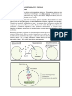 ALTERACIONES DE LAS SEÑALIZACION CELULAR.docx