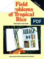 +++ Field problems of tropical rice (IRRI)