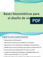 Bases Fotosinteticas