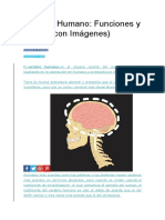 funciones del cerebro.docx