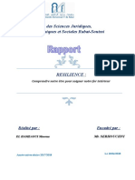 Rapport Conférence