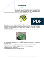 Plantas Medicinales