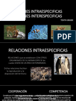 Relacionesintraespecificas Copia 140721114042 Phpapp02