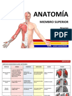 Resumen Miembro Superior Músculos PDF