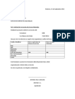 Carta Correccion de Errores Materiales