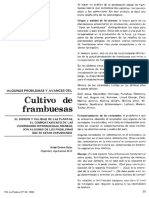 Cultivo de frambuesas