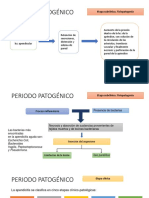 Apendicitis