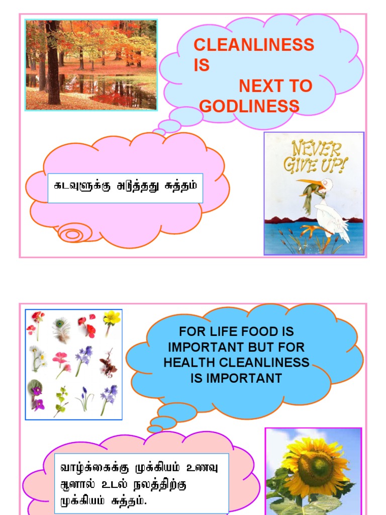 Cleanliness IS Next To Godliness | PDF