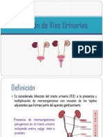 Patologia Genitourinarios