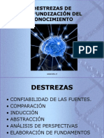 Ppt4 Destrezas Del Pensamiento