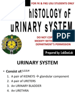 K-2 Histology of Urinary System 2017.ppsx