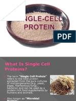 7 - BP Khaswar - Single Cell Protein and Its Application