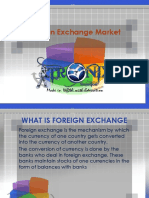 Foreign Exchange Markets