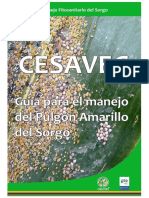 Manual Guia para El Manejo de Pulgon Amarillo Del Sorgo