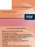 Patogenesis Dan Patofisiologi Sindroma Nefrotik