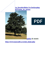 Plante-Melifere 1 PDF