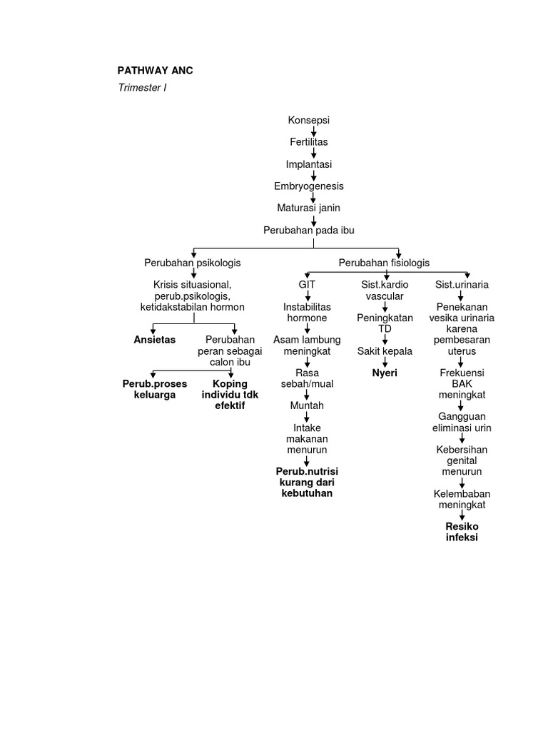Pathway Kehamilan dan ANC Trimester | PDF