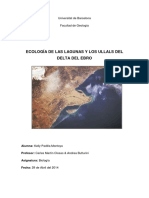 Informe Delta Del Ebro