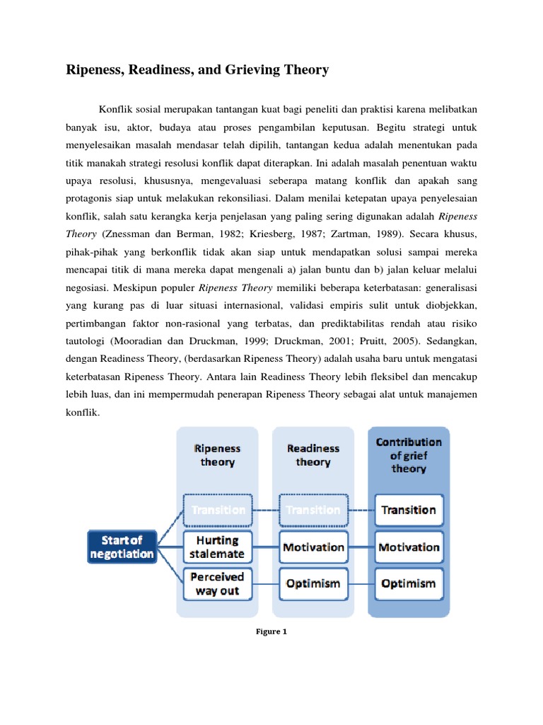 Teori Kematangan dan Kesedihan Konflik | PDF