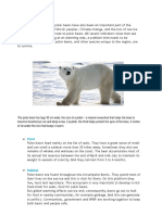 Writing Polar Bear