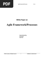 Agile Framework or Processes