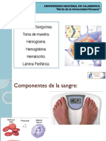 CLASE 05. Fisiología Hemática