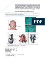 Protocolo Enfermeria Quirofano Tiroidectomia PDF