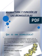 Estructura y Función de Las Biomoléculas