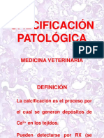 5-calcificacion-patologica.ppt
