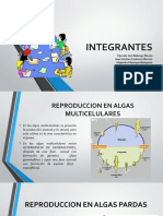 Diapositivas Biologia