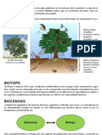 Ecología General ECOSISTEMAS