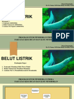 Belut Listrik dan Klasifikasinya