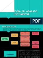 Clase N - 6 Semiología Del Aparato Locomotor y Cardiovascular 01 de Junio Del 2016