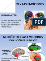 Neocortex Exposicion