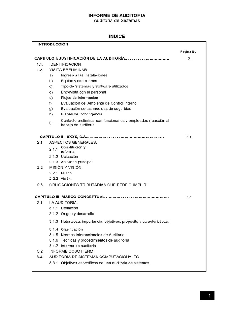 Informe de Auditoría de Sistemas USAC | PDF | Contador | Contabilidad