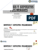 Hipotesis y Supuestos Preliminares