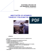 amputarcion.pdf