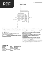 Glycolysis Crossword