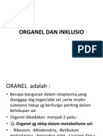 Organel Dan Inklusio FK