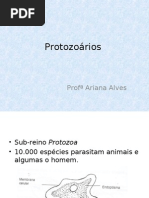 Download Aula 3 Protozorios by Ariana Alves SN37795059 doc pdf