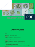 CHLOROPHYTA, 2013