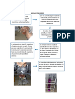 Esquema de Extracción