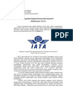 IATA Organisasi Transportasi Udara Internasional