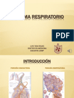 Sistema Respiratorio