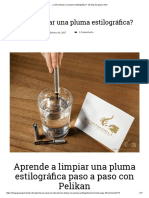 ¿Cómo Limpiar Una Pluma Estilográfica - El Blog de Iguana Sell